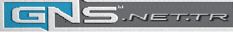 Sunucu Domain Hosting